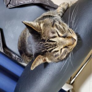 つぐ